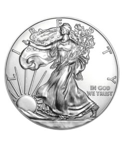 1 oz American Silver Eagle Coin