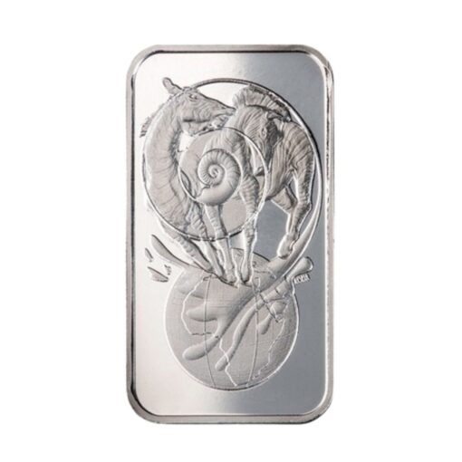 100g Silver Bar