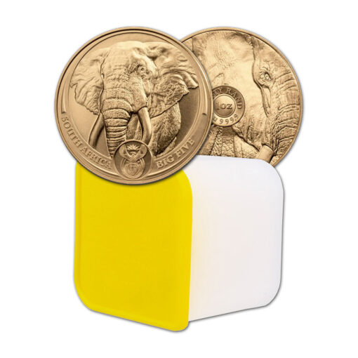 10pcs Gold Big 5 Elephant Set