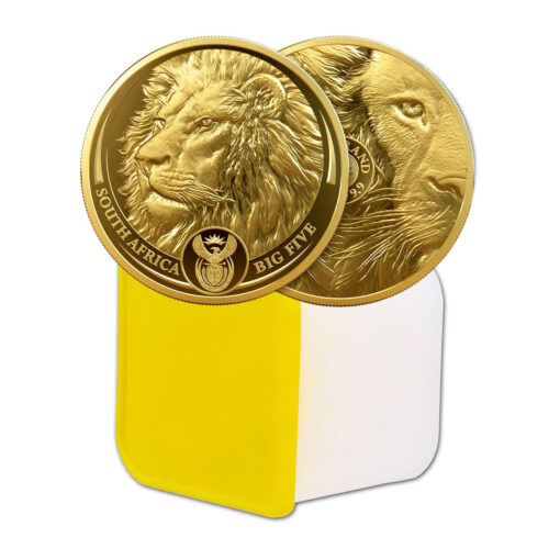 10pcs Gold Big 5 Lion Set