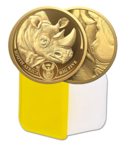 10pcs Gold Big 5 Rhino Set