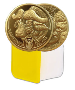 10pcs Gold Big 5 Buffalo Set