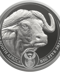 2023 Big Five Silver Buffalo 1oz Coin Series 2 BU 999 silver